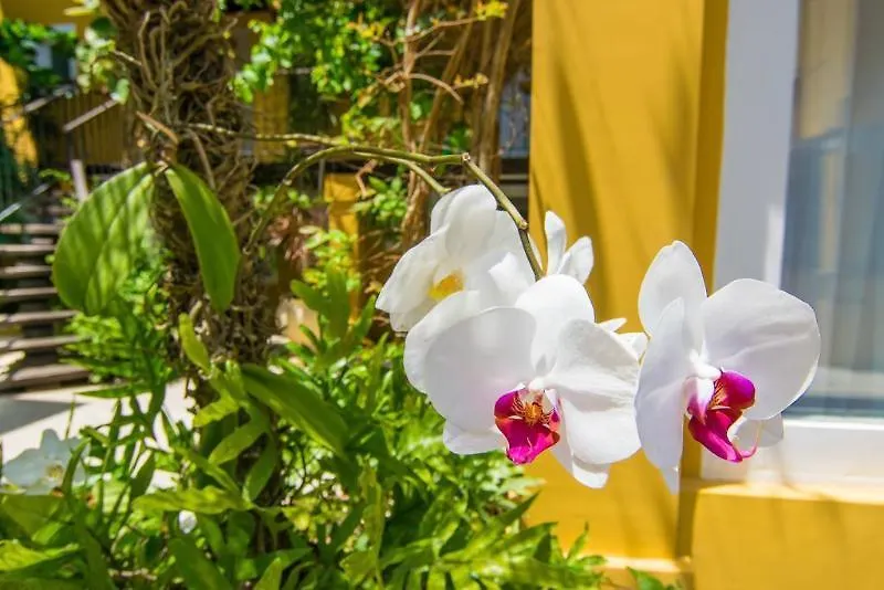 Hotel Pousada La Chimere Búzios